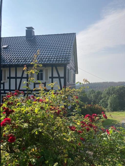 Ferienwohnung Am Alten Backhaus Bad Berleburg Extérieur photo